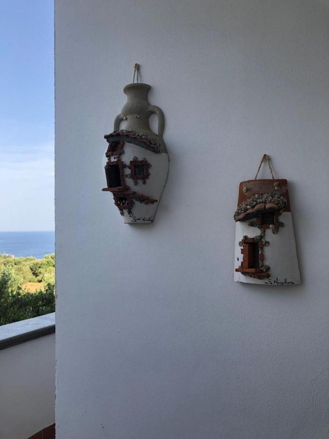 פאלינורו B&B La Marinella מראה חיצוני תמונה